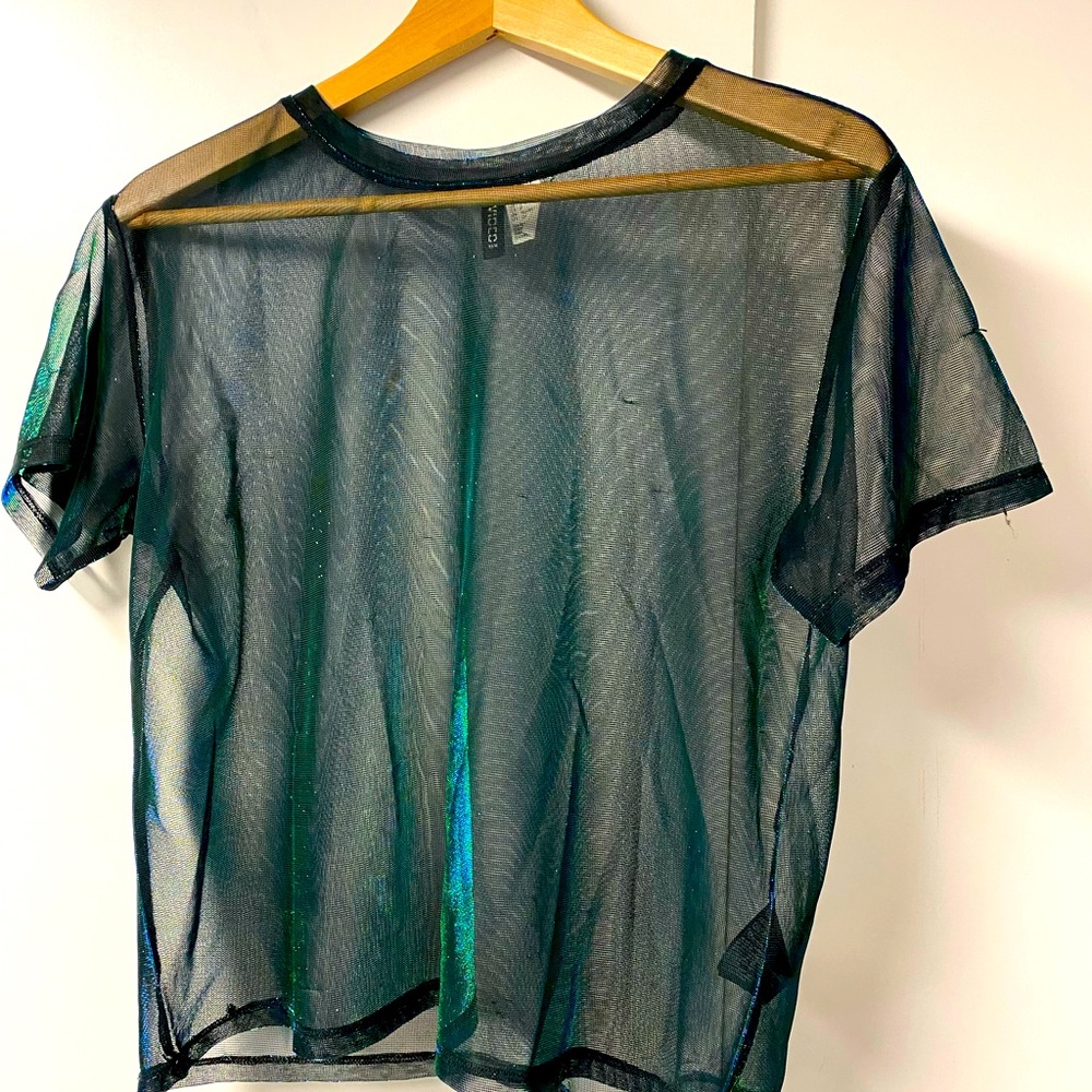 Sheer Iridescent Top